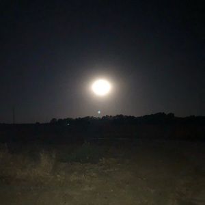 Meet your Posher, Maureen